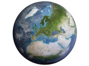 Předklížená tapeta na zeď