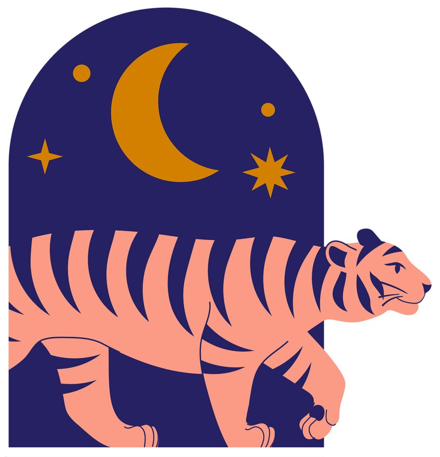 Předklížená tapeta na zeď Předklížená tapeta na zeď