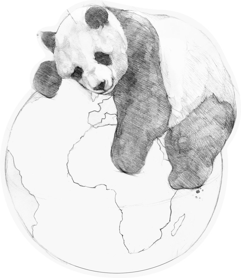 Předklížená tapeta na zeď Předklížená tapeta na zeď