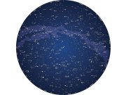 Předklížená tapeta na zeď