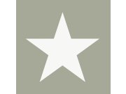 Šedozelená tapeta s bílými hvězdami 138949