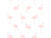 Tapety Yara - Tapeta bílá s růžovými plameňáky 138918 Tapeta bílá s růžovými plameňáky 138918