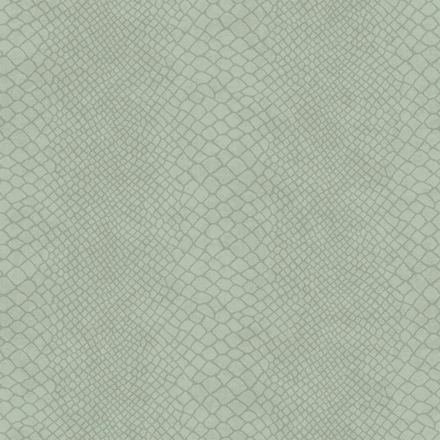 Tapety Yara - Tapeta zelená Tapeta zelená - Tapety Yara