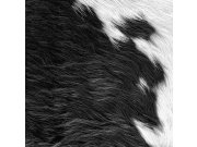 Tapety Yara - Tapeta na zeď Tapeta na zeď