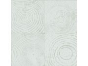 Světle tyrkysová tapeta, imitace dřeva s letokruhy, Matières - Wood, Origin