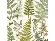 Obrazová tapeta Listy kapradin 366104