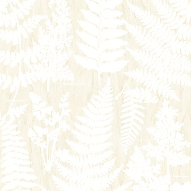 Tapety Yara - Obrazová tapeta 366106 Obrazová tapeta 366106 - Tapety Yara