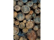 Tapety Yara - Obrazová tapeta Obrazová tapeta