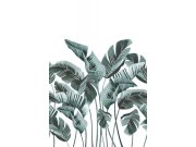 Obrazová tapeta 158898