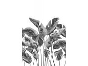 Tapety Yara - Obrazová tapeta s lsty Obrazová tapeta s lsty