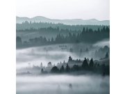 Tapety Yara - Obrazová tapeta Obrazová tapeta