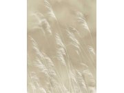 Tapety Yara - Obrazová tapeta Tráva Obrazová tapeta Tráva