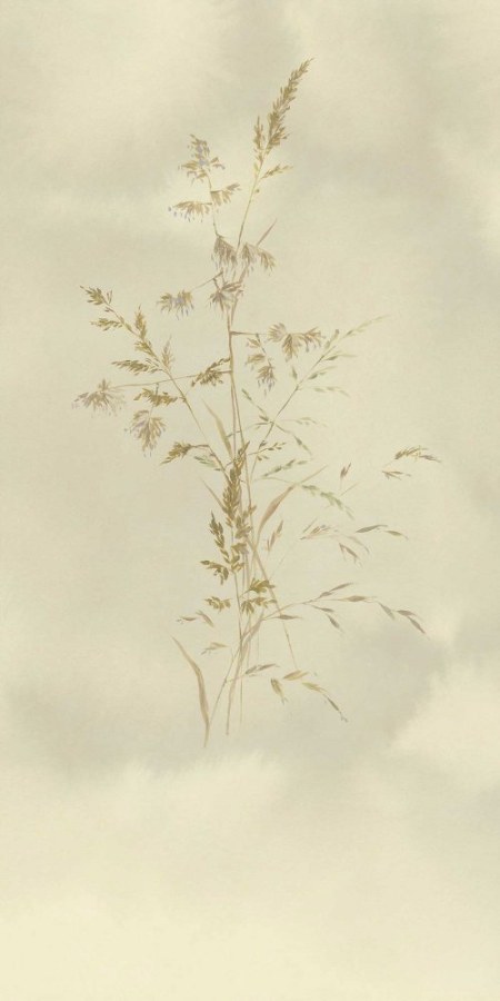 Tapety Yara - Obrazová tapeta Tráva Obrazová tapeta Tráva - Tapety Yara