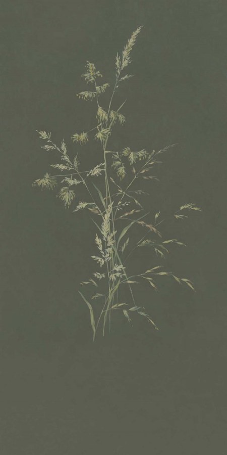 Obrazová tapeta Tráva - Tapety Yara