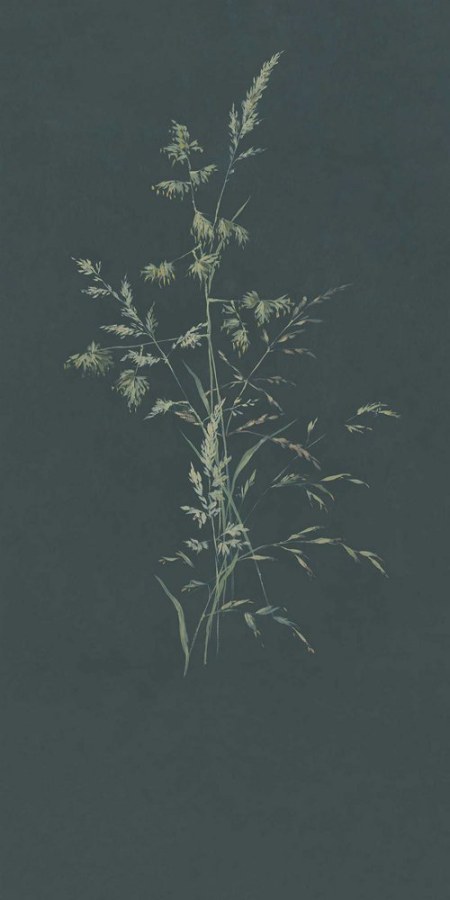 Obrazová tapeta Tráva - Tapety Yara