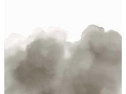 Tapety Yara - Obrazová tapeta 300918 Obrazová tapeta 300918