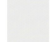 Geometrická Tapeta 219560