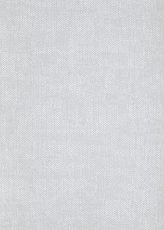 Bílo-šedá tapeta na zeď - Tapety Yara