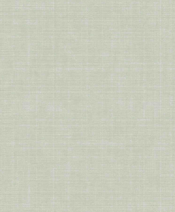 Zelená tapeta na zeď Zelená tapeta na zeď