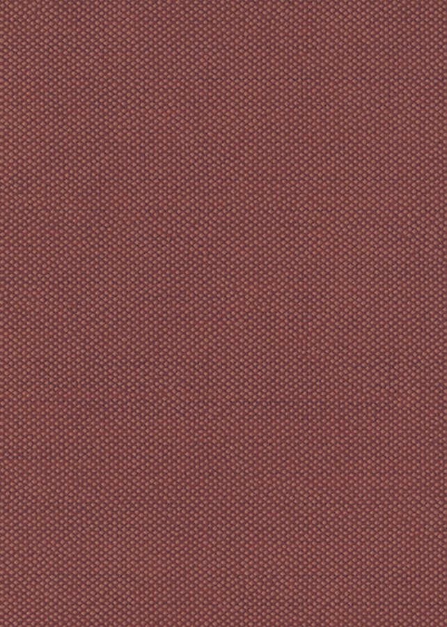 Vínová tapeta na zeď Vínová tapeta na zeď