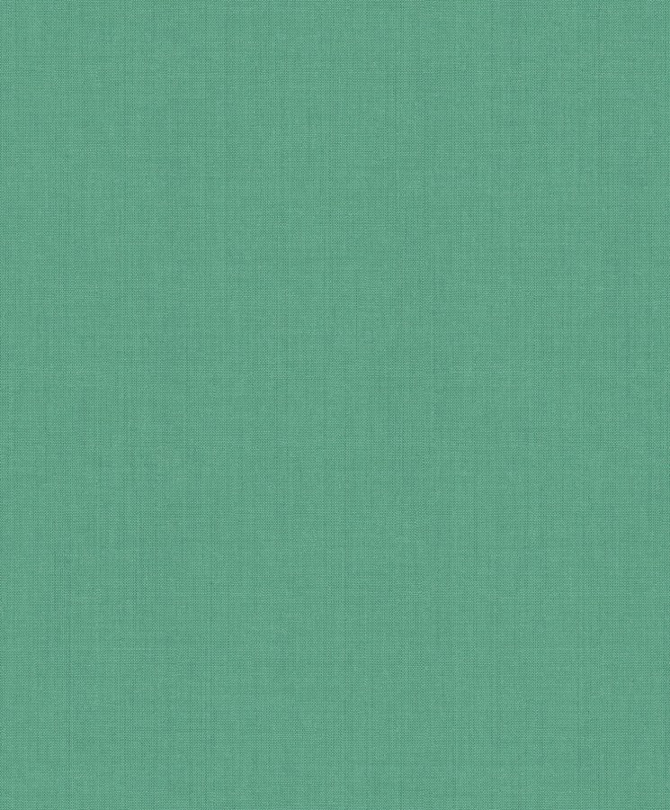 Zelená tapeta na zeď Zelená tapeta na zeď