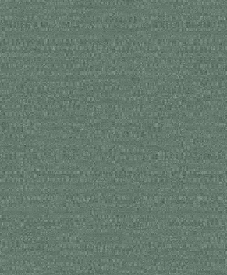 Tapety Yara - Zelená tapeta na zeď Zelená tapeta na zeď - Tapety Yara