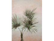 Obrazová tapeta, Palm, 225 x 300 cm, Terra, Eijffinger