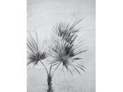 Obrazová tapeta, Palm, 225 x 300 cm, Terra, Eijffinger Tapety Yara