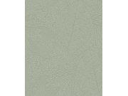 Zelená tapeta na zeď, metalická listy, 324043, Embrace, Eijffinger