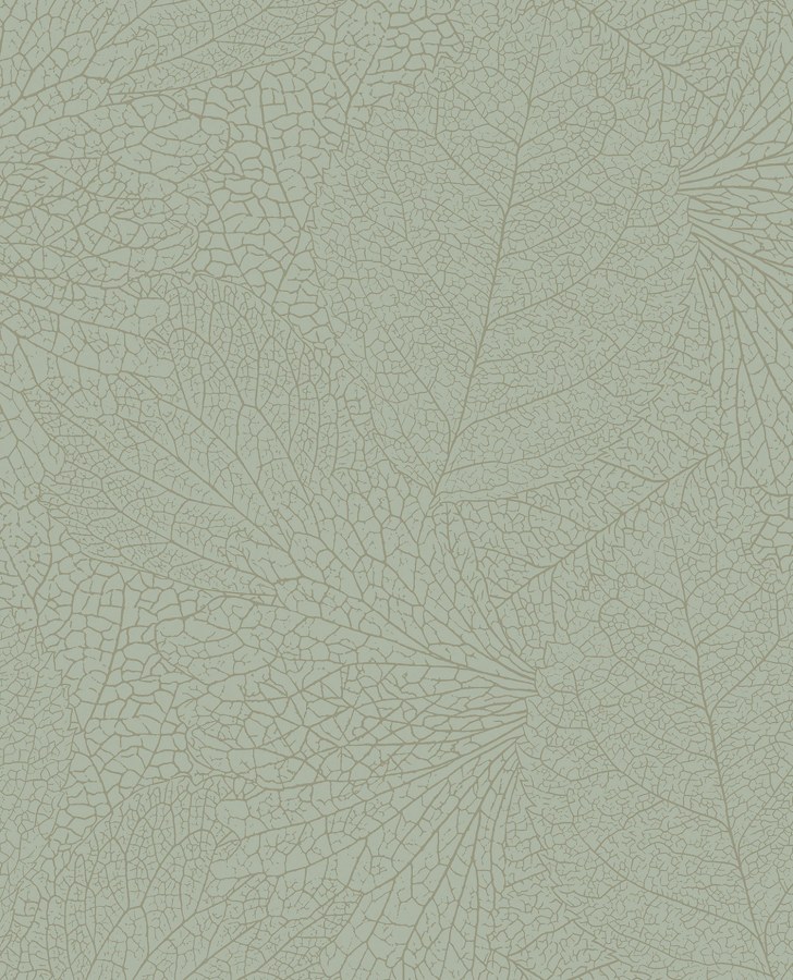 Zelená tapeta na zeď