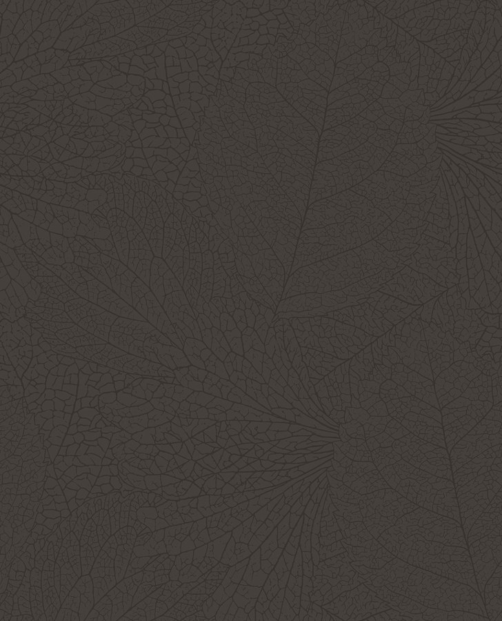 Šedá tapeta na zeď - Tapety Yara