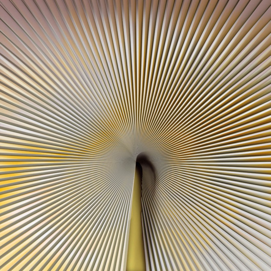 Fototapeta na zeď Fototapeta na zeď