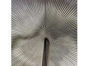 Tapety Yara - Fototapeta na zeď Fototapeta na zeď