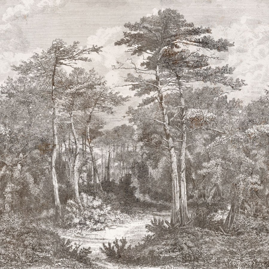 Obrazová tapeta na zeď - Tapety Yara