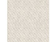 Fototapeta na zeď, šedá, psi, Casa 8, Trussardi 