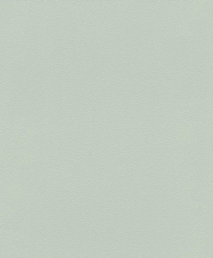 RASCH 700688 RASCH 700688