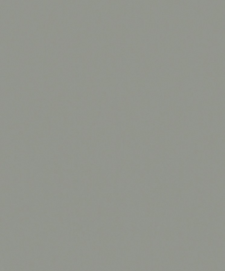 Tapety Yara - Tapeta na zeď Tapeta na zeď - Tapety Yara