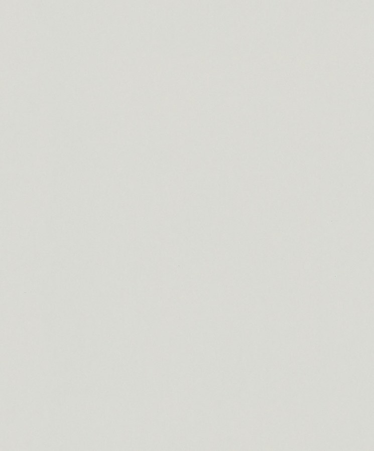 Tapeta na zeď - Tapety Yara