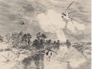 Tapety Yara - Obrazová tapeta 366101 Obrazová tapeta 366101