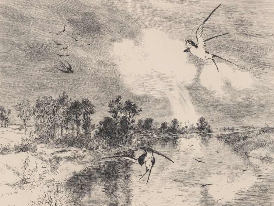 Obrazová tapeta 366101 - Tapety Yara