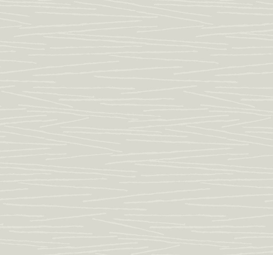 Šedá tapeta na zeď Šedá tapeta na zeď