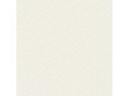 Světle šedá tapeta s bílými flíčky DD3803