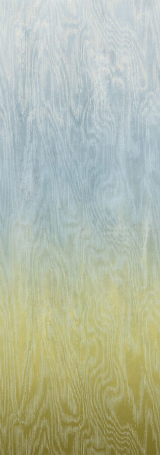 Fototapeta na zeď - Tapety Yara