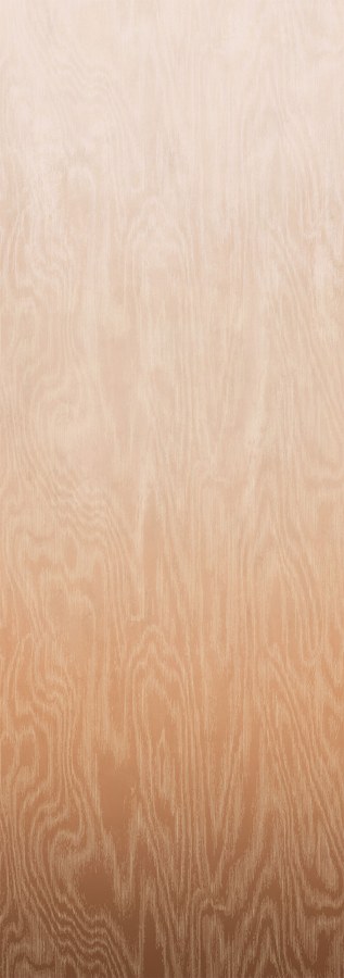 Fototapeta na zeď - Tapety Yara