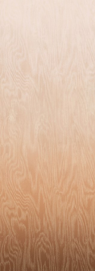 Fototapeta na zeď - Tapety Yara