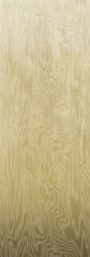 Fototapeta na zeď - Tapety Yara