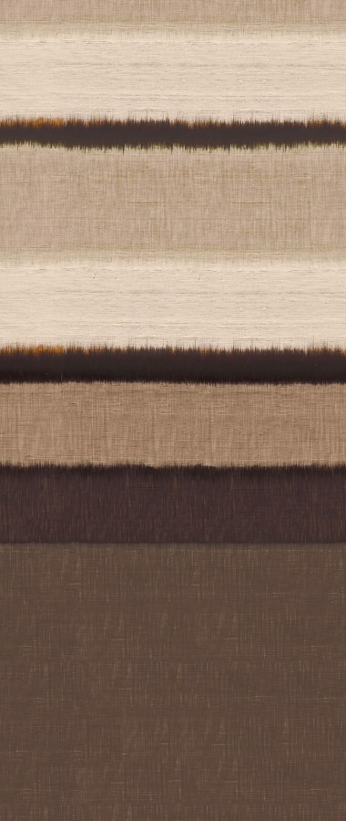 Hnědo-béžová Fototapeta na zeď Hnědo-béžová Fototapeta na zeď