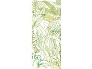 Tapety Yara - Zelená Fototapeta na zeď Zelená Fototapeta na zeď