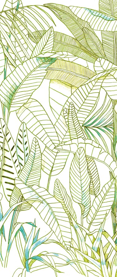 Zelená Fototapeta na zeď - Tapety Yara