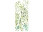 Tapety Yara - Zelená Fototapeta na zeď Zelená Fototapeta na zeď